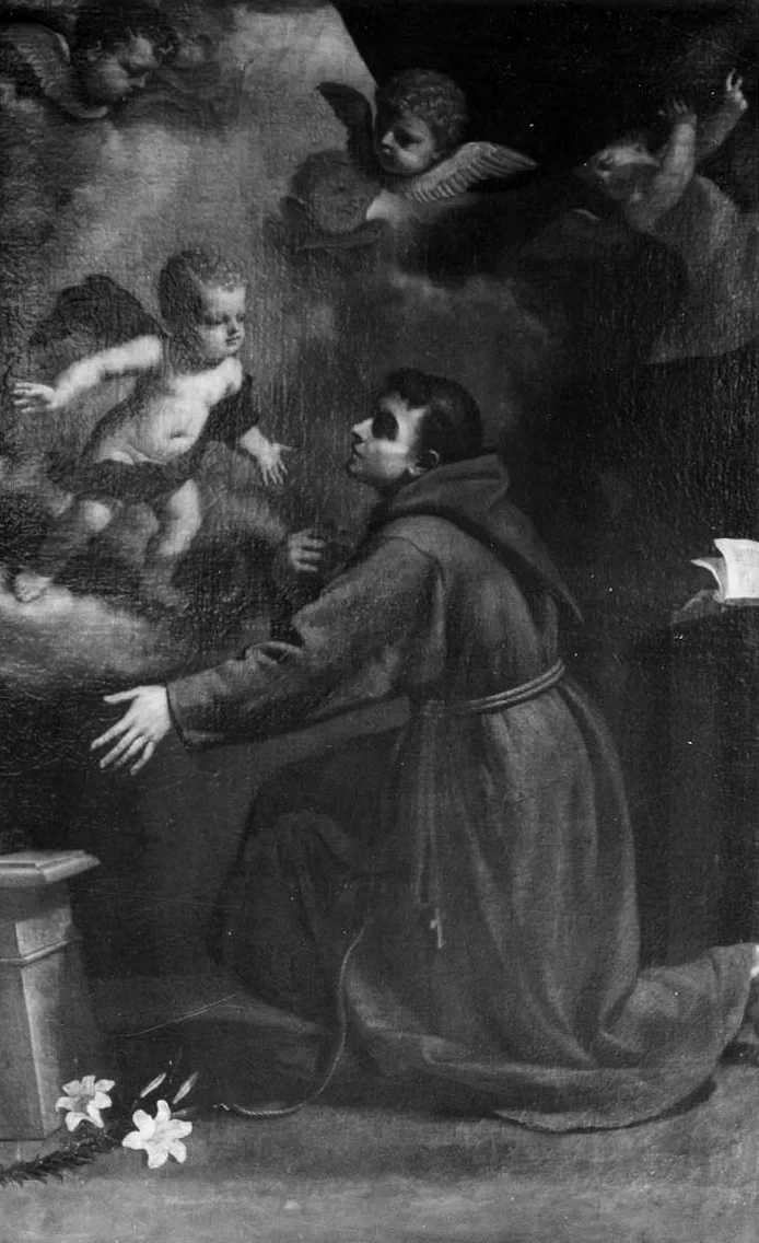 Il giovane - Sant'Antonio da Padova con Gesù Bambino e angeli, Bologna